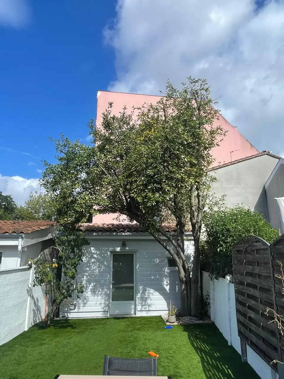 Un arbre taillé — après les travaux