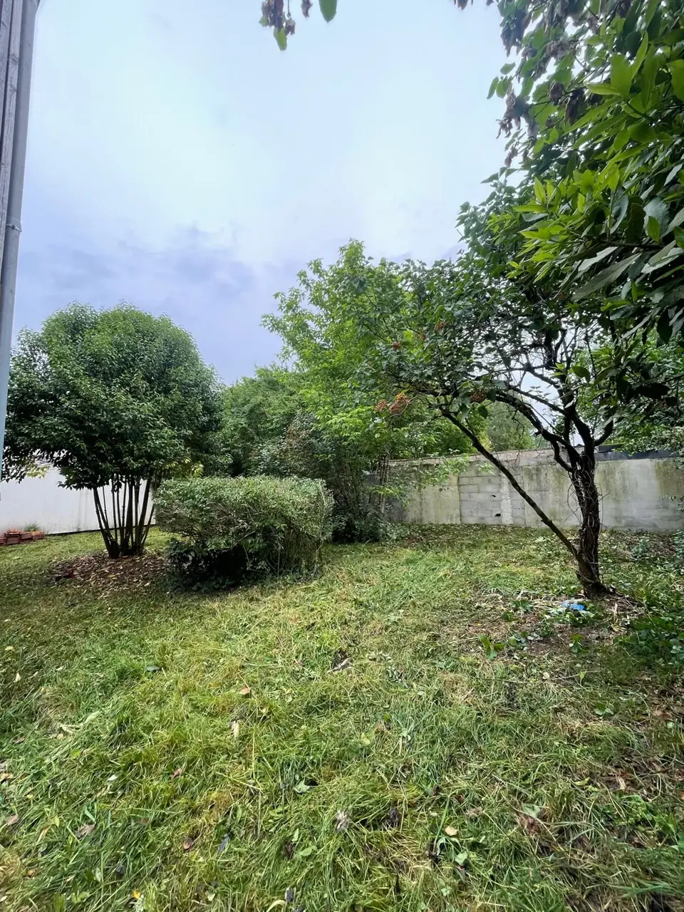 Entretien de jardin